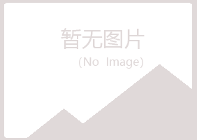 盐池县惜文美容有限公司